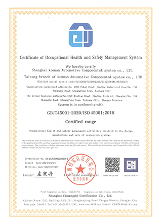 OHSAS18001 2007